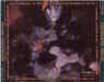 Disintegration - Brazil CD Promo (1989) - note the red text in a rectangle - From Phil Hendrix Collection