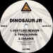 Dinosaur Jr - 12" UK one side with Just Like Heaven' (1989)