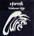 A Forest (tree mix) - 12" French Promotional copy (1991)