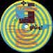 Like an Animal - 12" UK  with 'Like an Animal (Club? What club mix) - 2 sleeves like the 7" with or without central hole (SHEX 3 - Wonderland 1983)